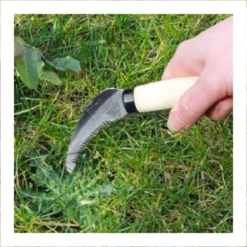 Tuin Buitenwinkel -Tuin Buitenwinkel image 273